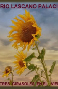 Tres Girasoles en el Viento